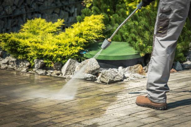 Best Sidewalk and Walkway Cleaning  in Livingston, MT